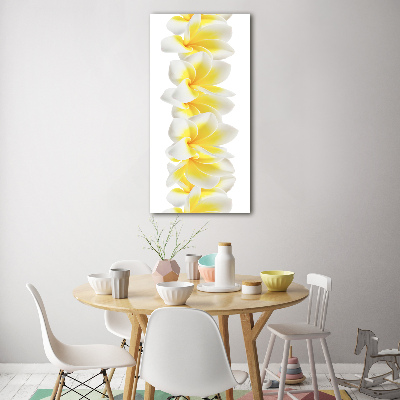 Tableau en acrylique Plumeria