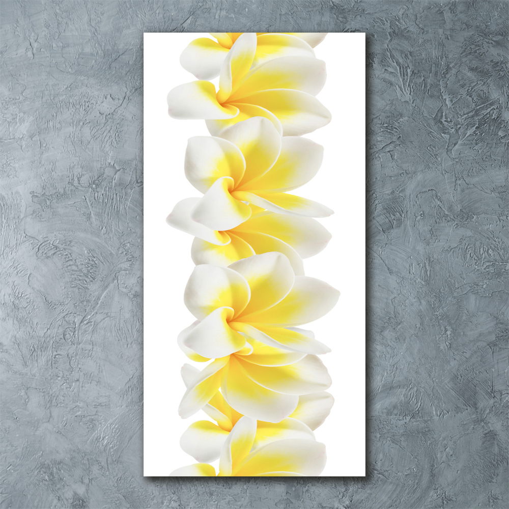 Tableau en acrylique Plumeria