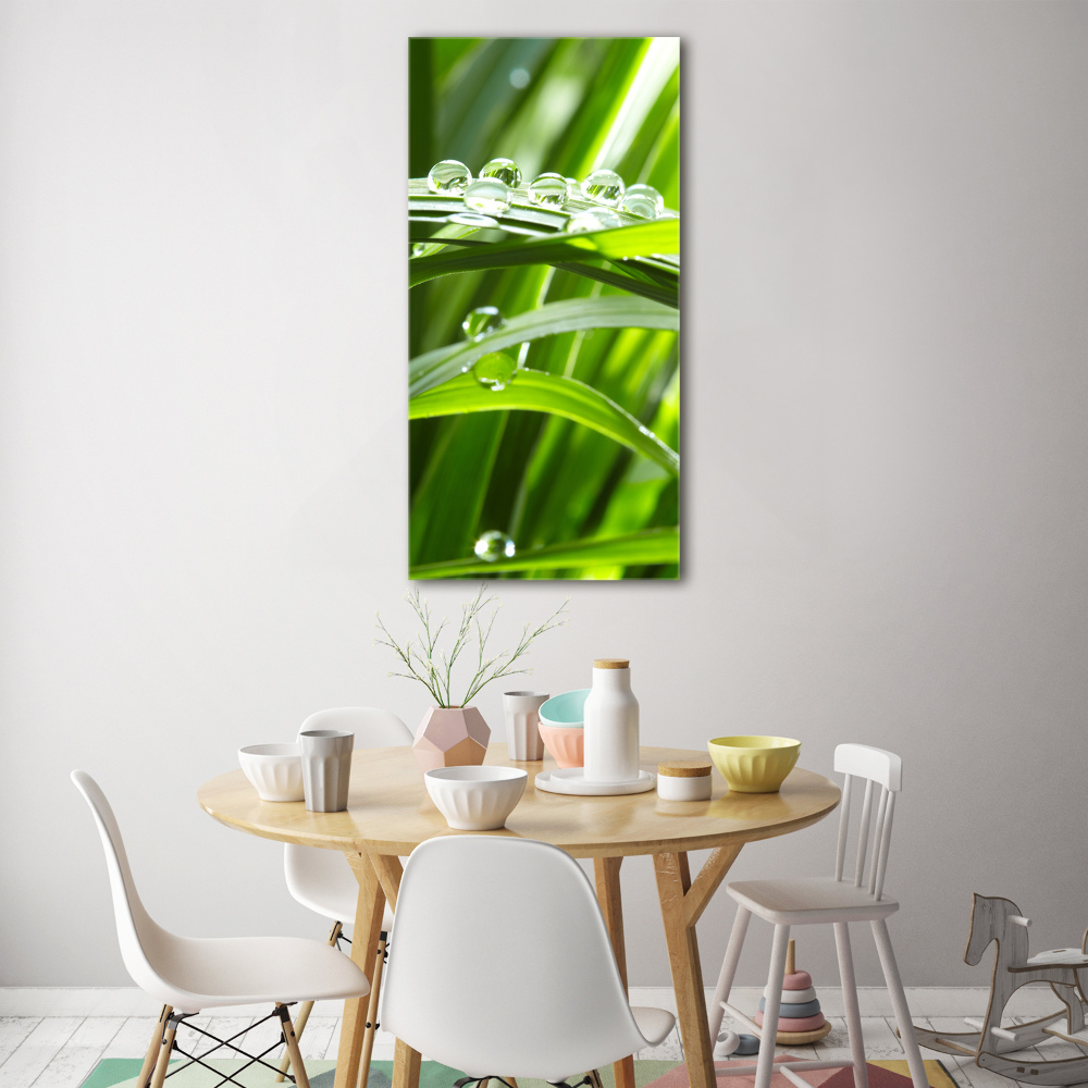 Tableau en acrylique Tiges d'herbe verte