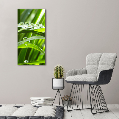 Tableau en acrylique Tiges d'herbe verte