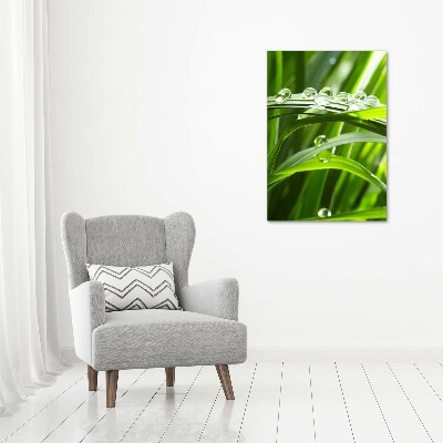 Tableau en acrylique Tiges d'herbe verte