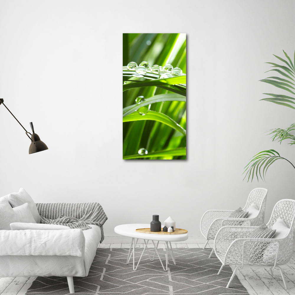 Tableau en acrylique Tiges d'herbe verte