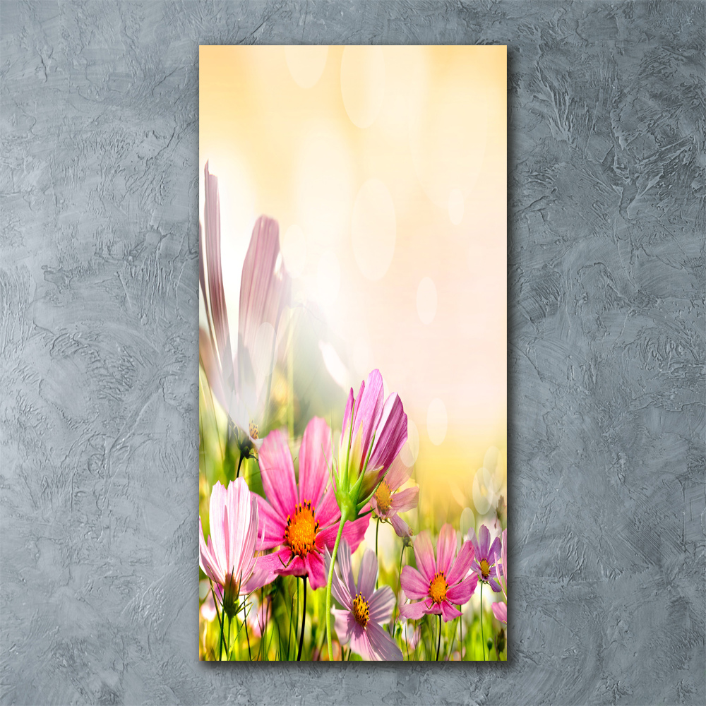 Tableau verre acrylique Fleurs des champs