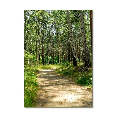 Acrylique tableau Forêt de bouleaux