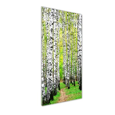 Tableau sur verre acrylique Forêt de bouleaux