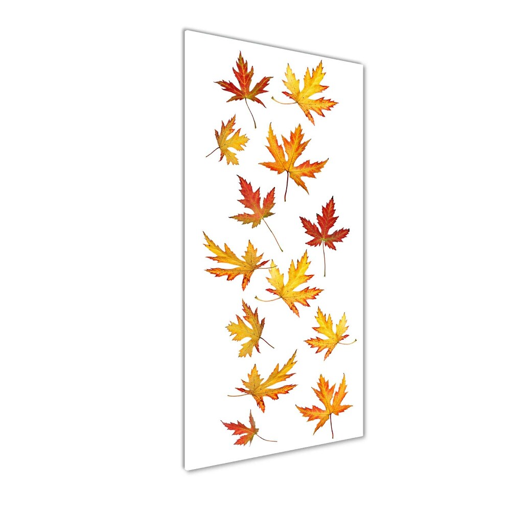 Acrylique tableau Feuilles d'automne