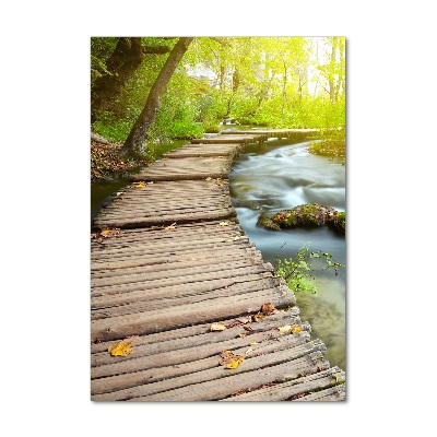 Tableau verre acrylique Chemin dans la forêt