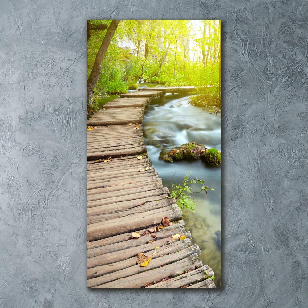 Tableau verre acrylique Chemin dans la forêt