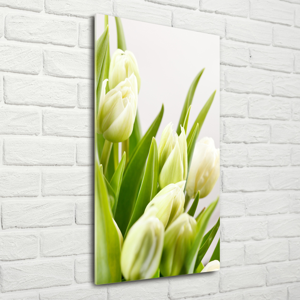 Tableau en acrylique Tulipes blanches