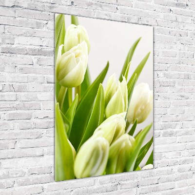 Tableau en acrylique Tulipes blanches