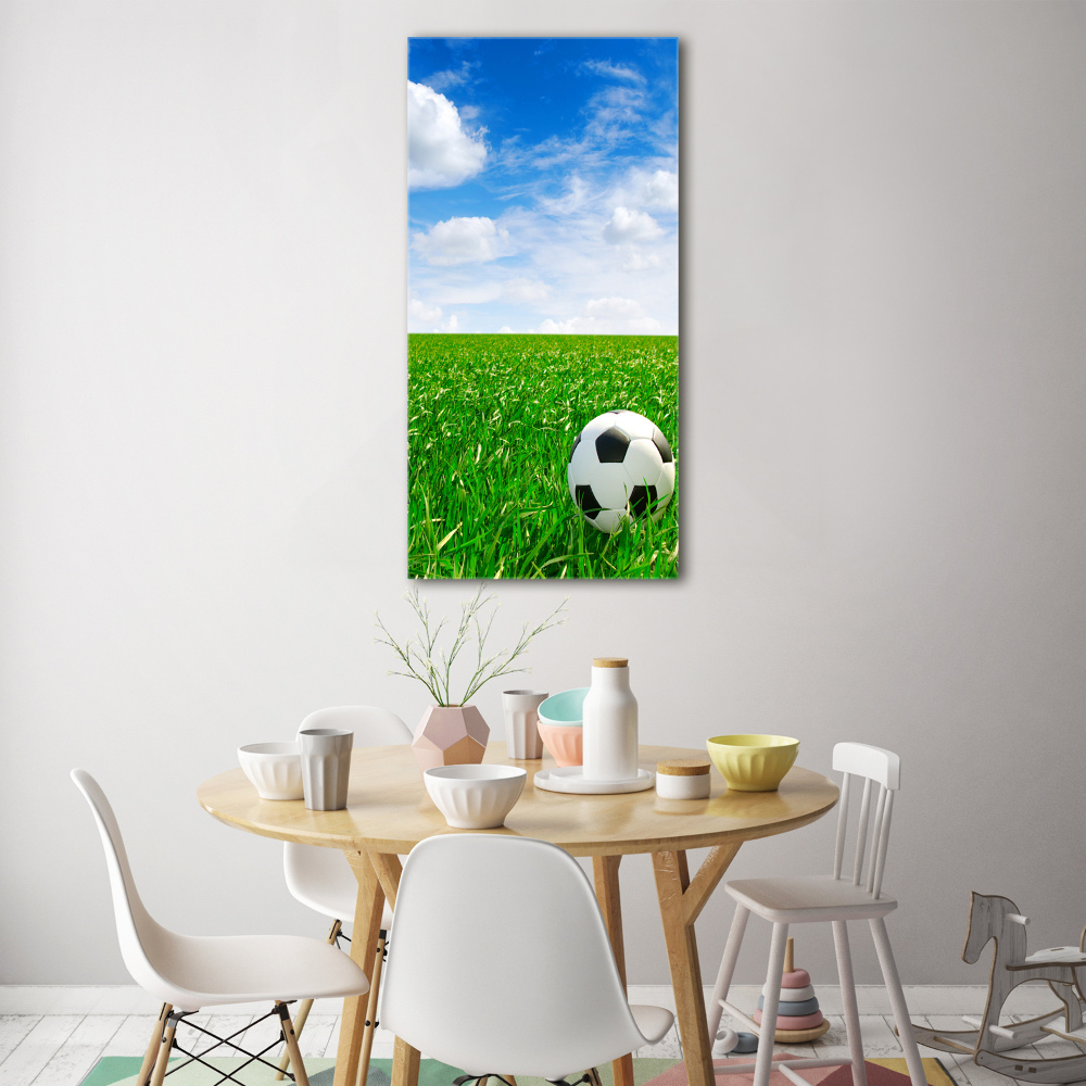 Tableau en acrylique Football dans le pré