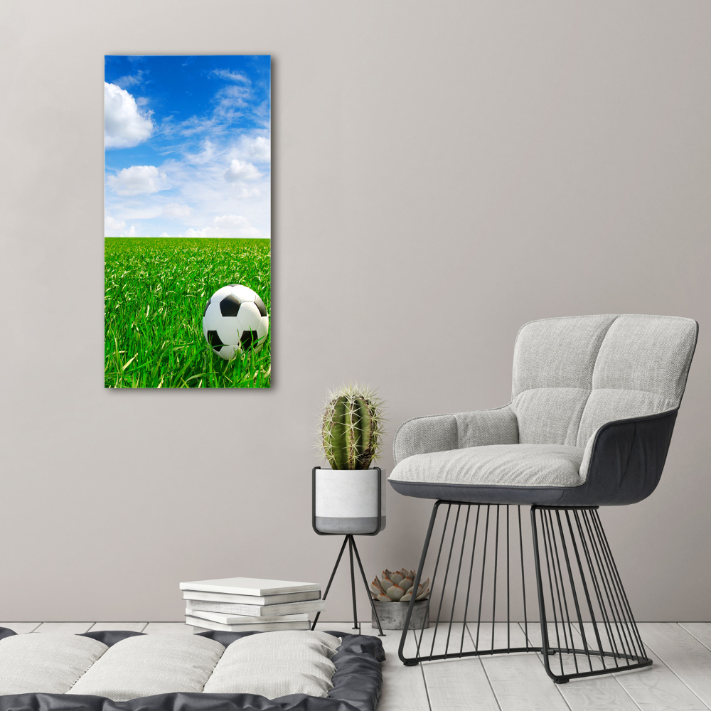 Tableau en acrylique Football dans le pré