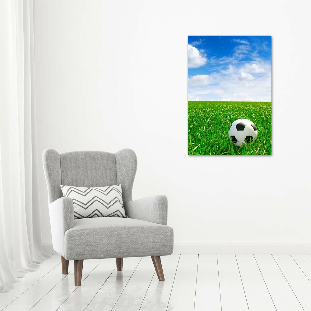 Tableau en acrylique Football dans le pré