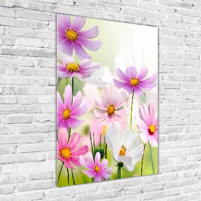 Tableau sur verre acrylique Fleurs des champs roses