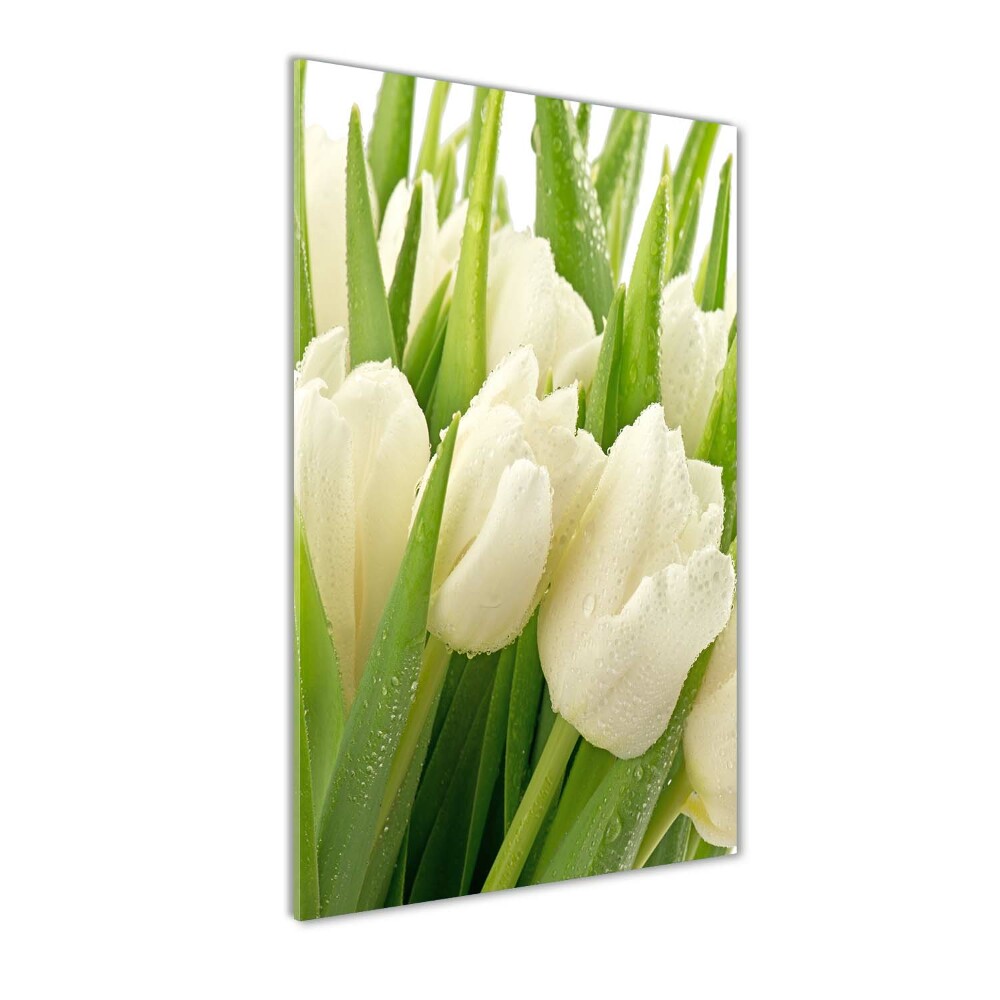 Acrylique tableau Tulipes blanches fleurs