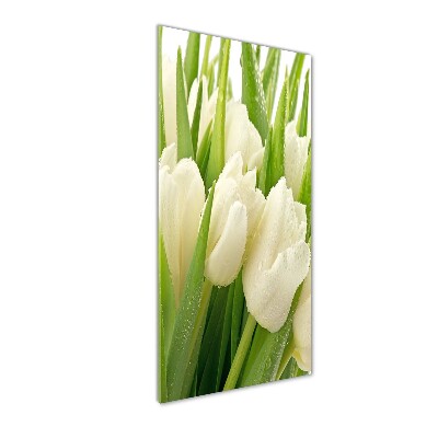 Acrylique tableau Tulipes blanches fleurs