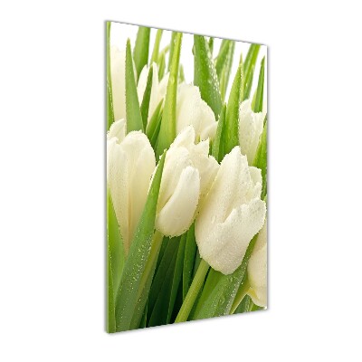 Acrylique tableau Tulipes blanches fleurs