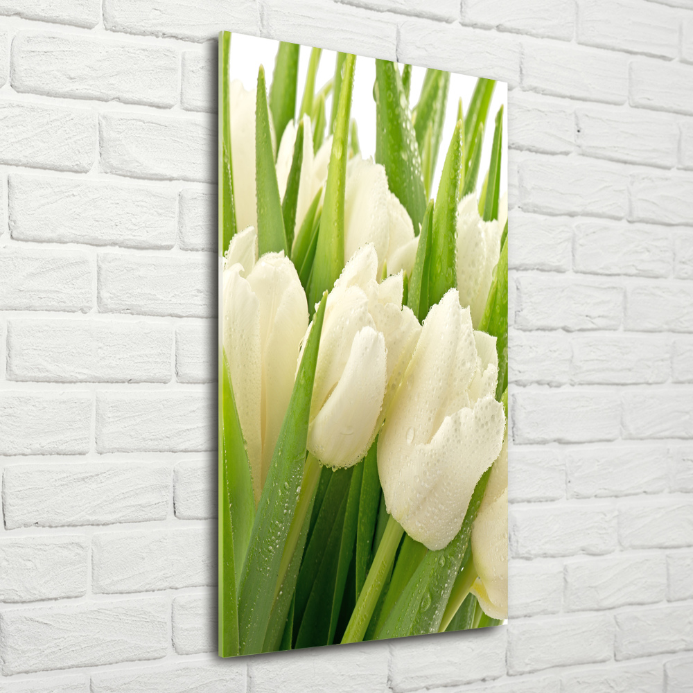 Acrylique tableau Tulipes blanches fleurs