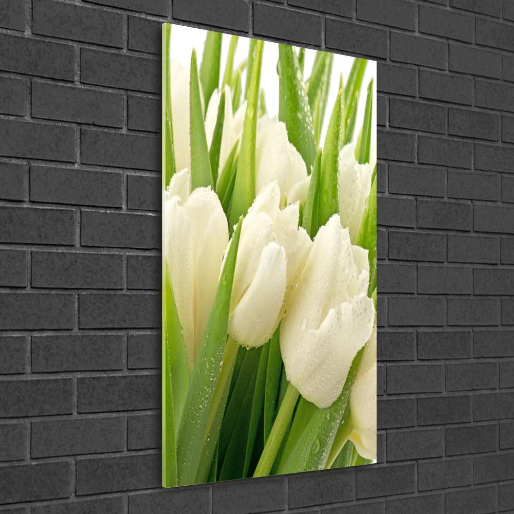 Acrylique tableau Tulipes blanches fleurs