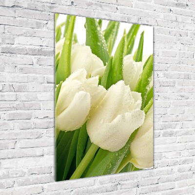 Acrylique tableau Tulipes blanches fleurs