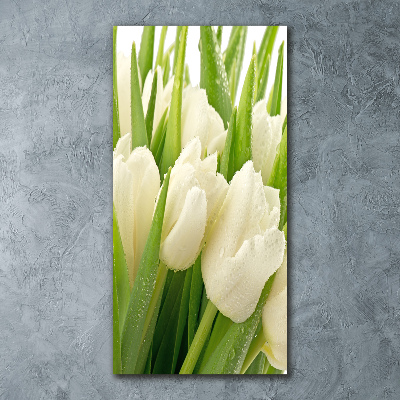 Acrylique tableau Tulipes blanches fleurs