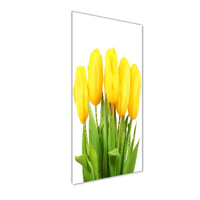 Tableau verre acrylique Tulipes jaunes