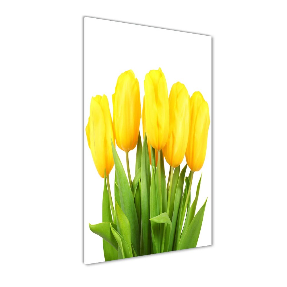 Tableau verre acrylique Tulipes jaunes