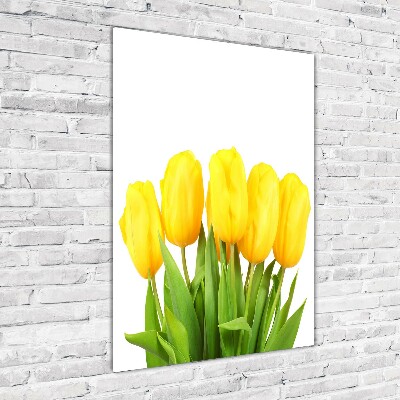 Tableau verre acrylique Tulipes jaunes