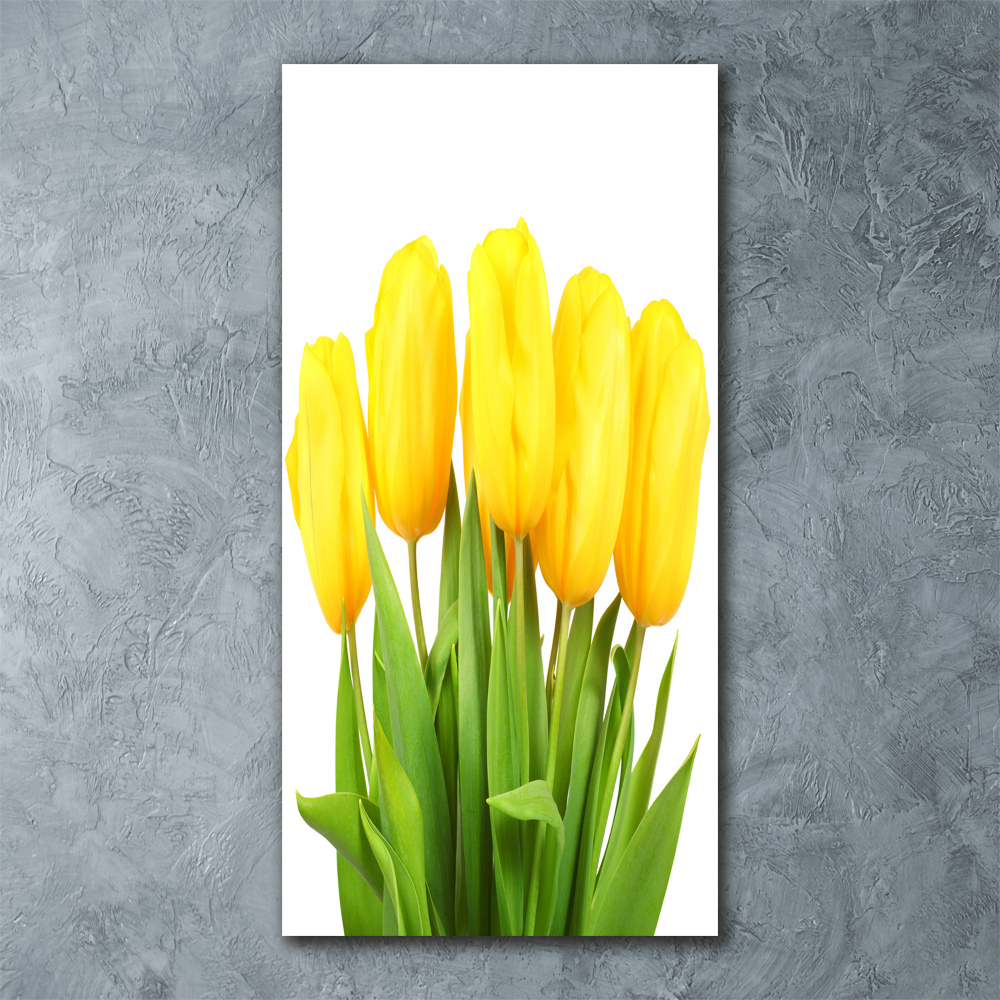 Tableau verre acrylique Tulipes jaunes