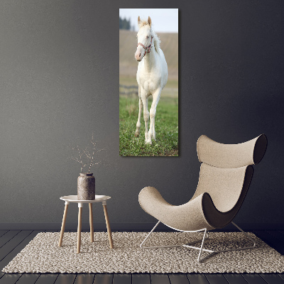 Tableau sur verre acrylique Cheval albinos