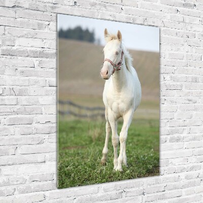 Tableau sur verre acrylique Cheval albinos