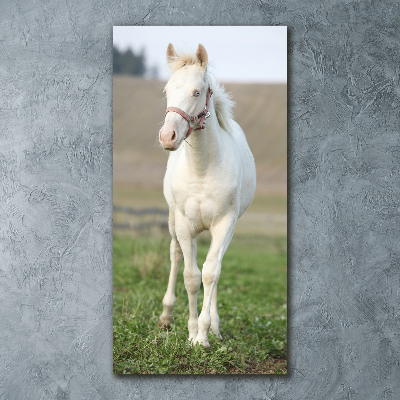 Tableau sur verre acrylique Cheval albinos