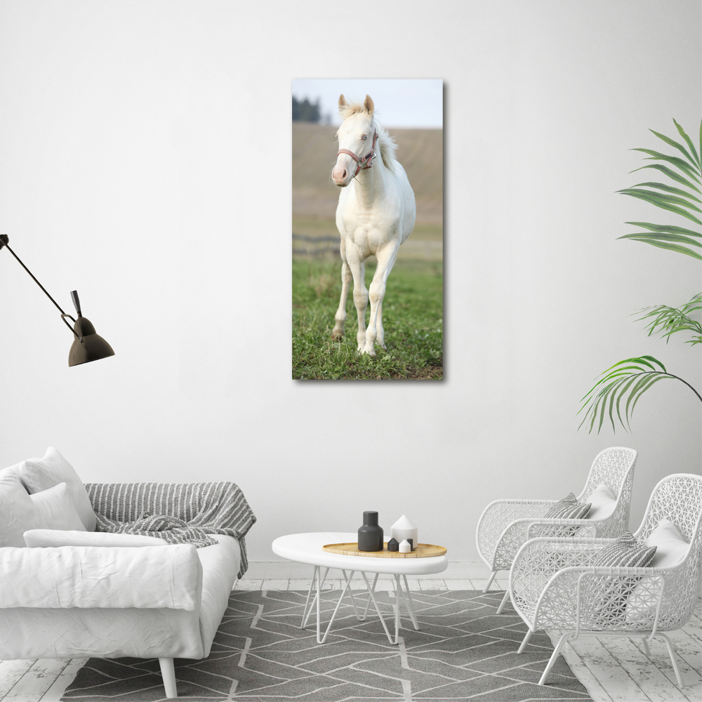 Tableau sur verre acrylique Cheval albinos