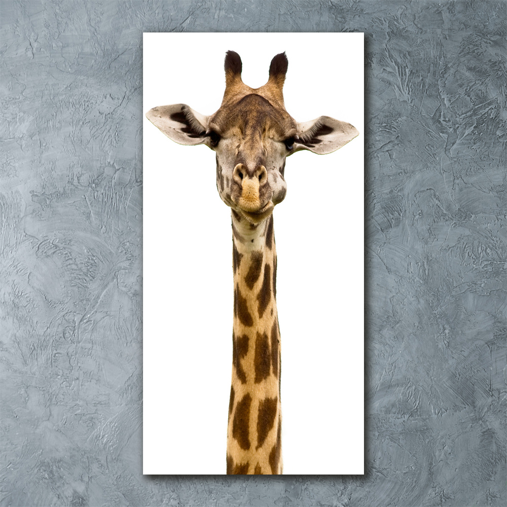 Tableau acrylique Girafe