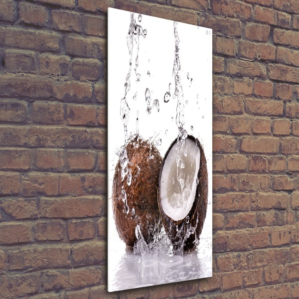 Tableau en acrylique Noix de coco