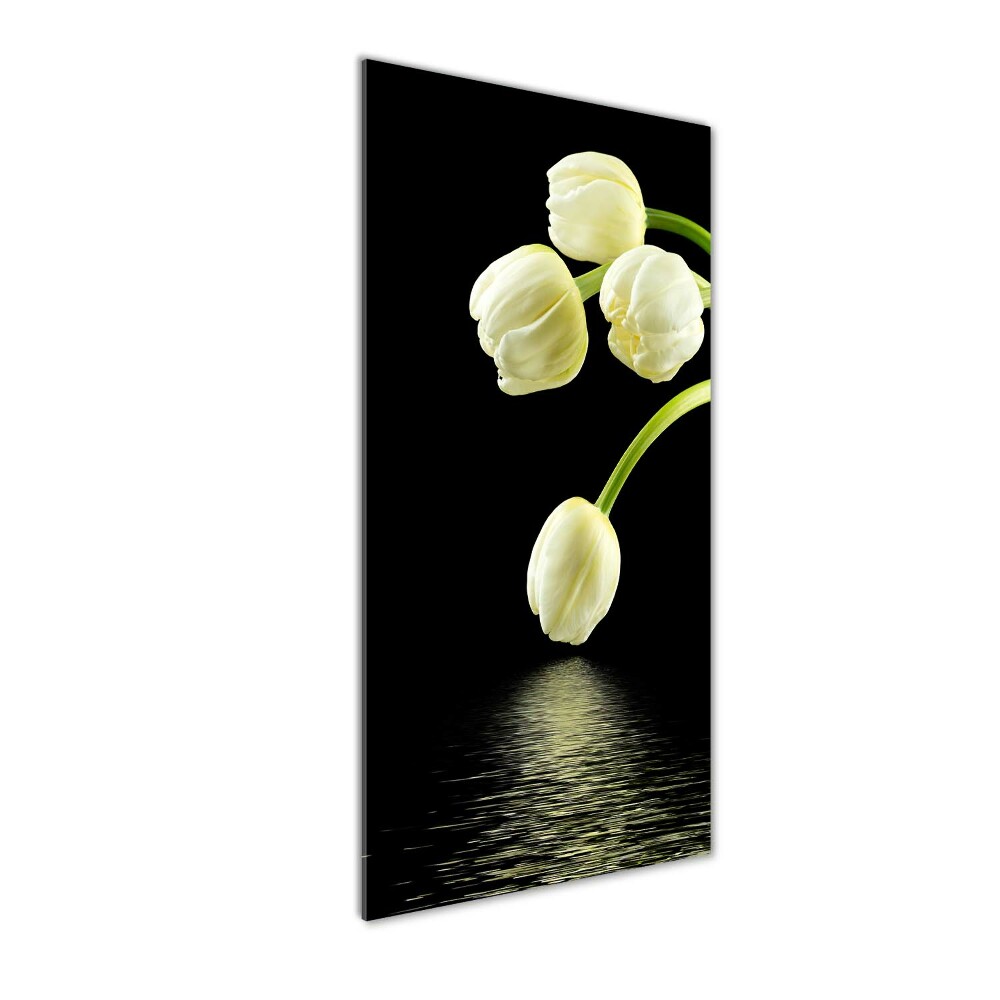 Tableau en acrylique Tulipes blanches fleurs