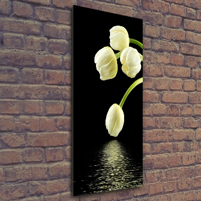 Tableau en acrylique Tulipes blanches fleurs