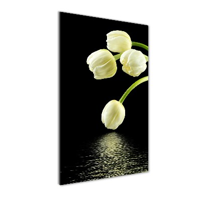 Tableau en acrylique Tulipes blanches fleurs