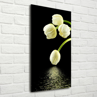 Tableau en acrylique Tulipes blanches fleurs