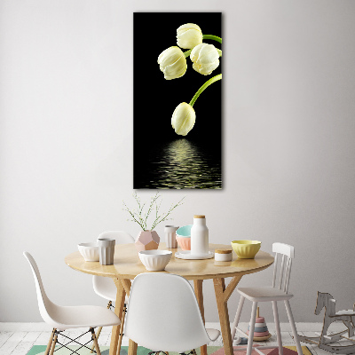 Tableau en acrylique Tulipes blanches fleurs