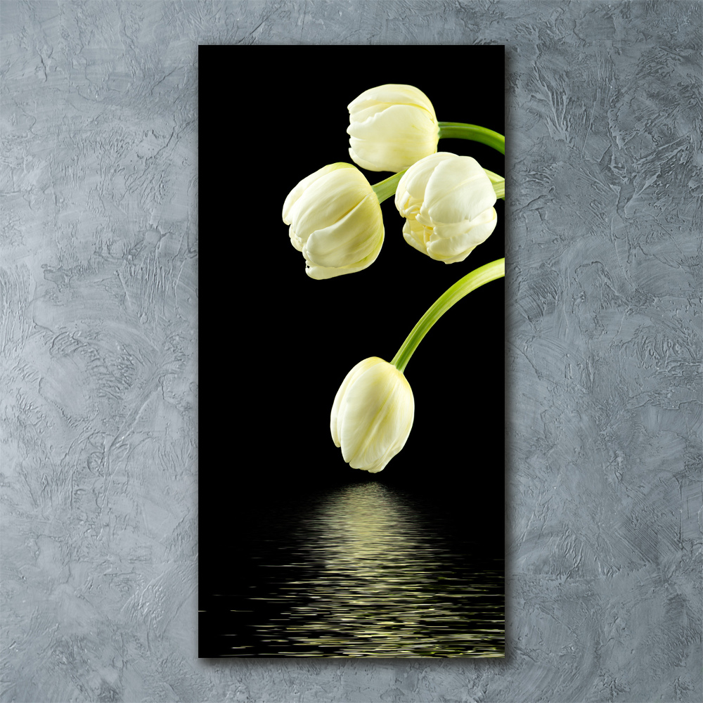 Tableau en acrylique Tulipes blanches fleurs