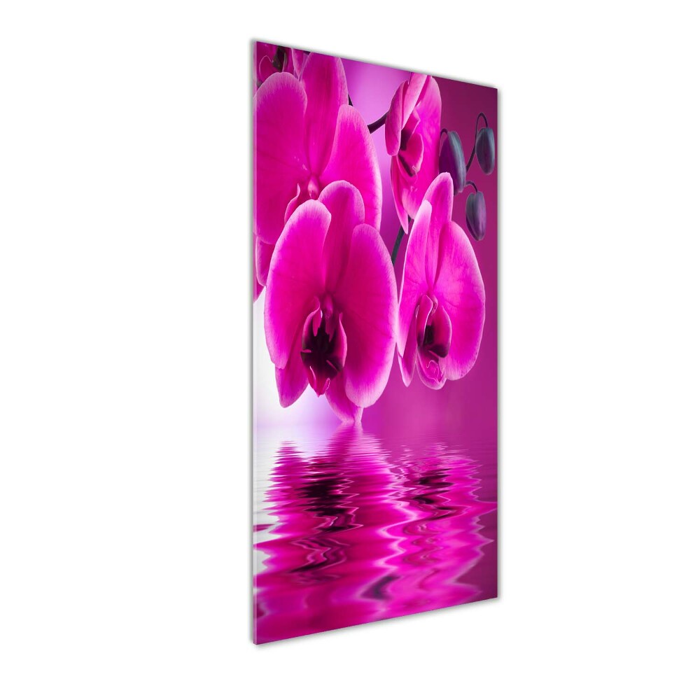 Tableau verre acrylique Orchidée rose fleur