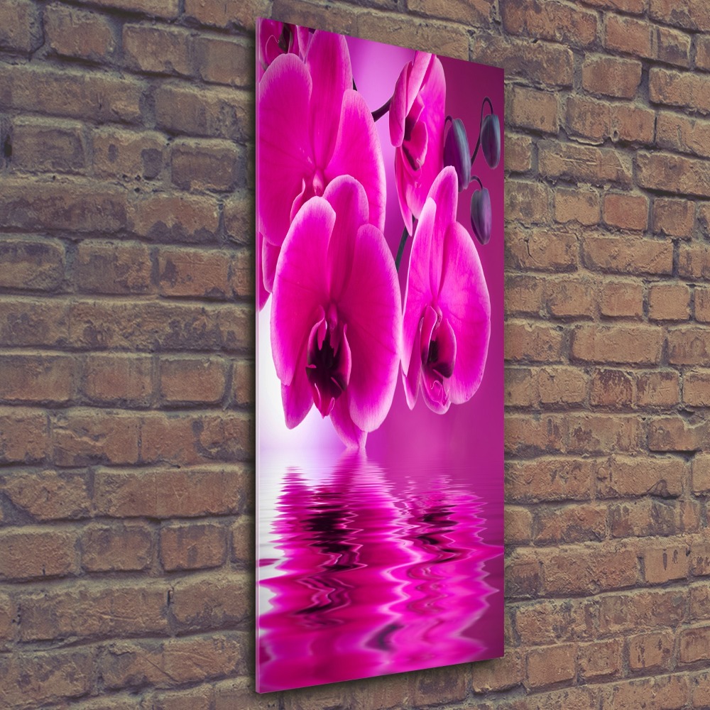 Tableau verre acrylique Orchidée rose fleur