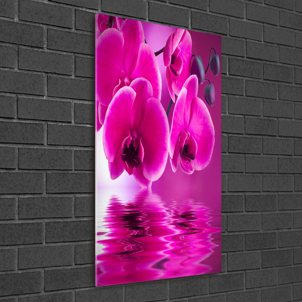 Tableau verre acrylique Orchidée rose fleur