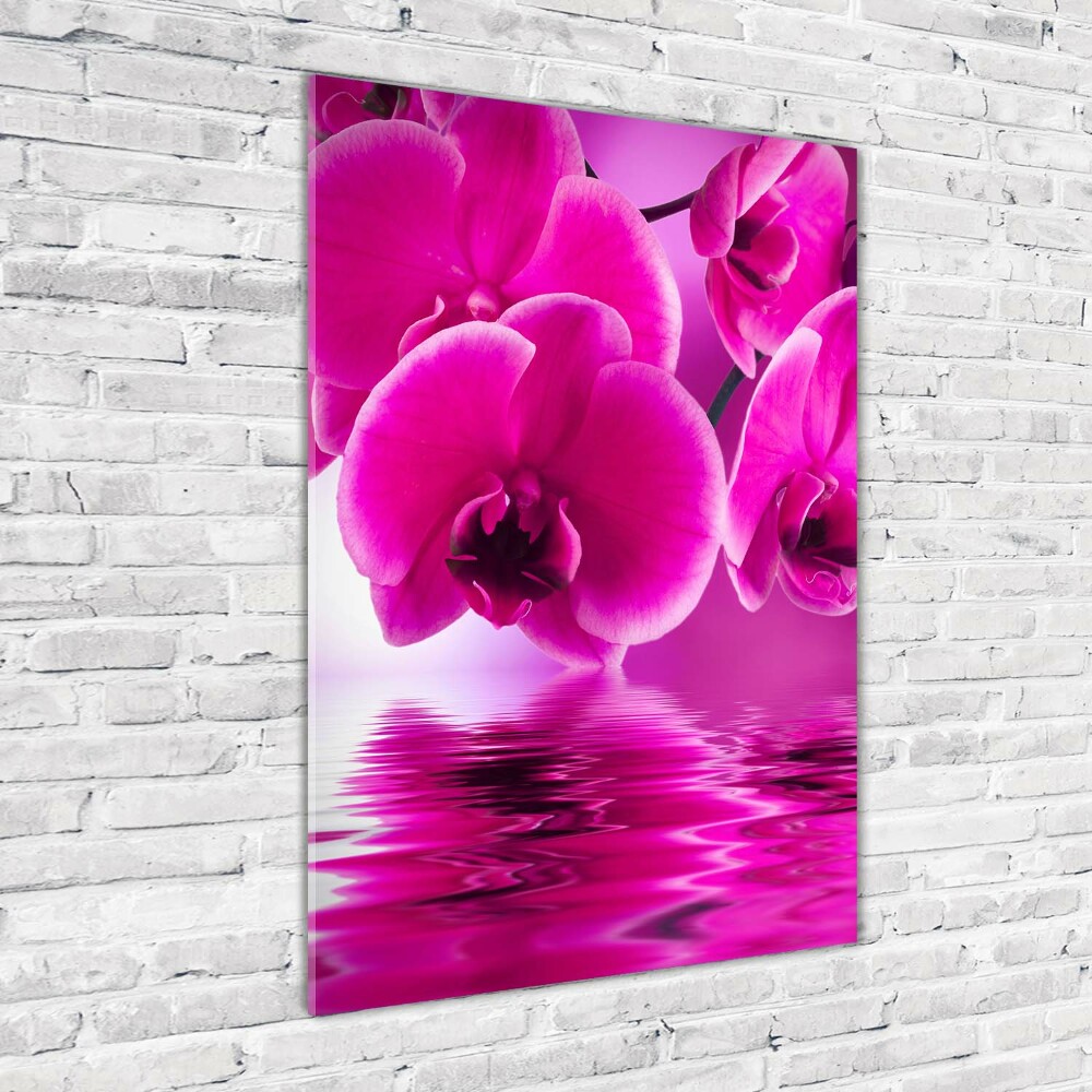 Tableau verre acrylique Orchidée rose fleur