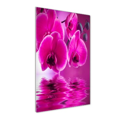 Tableau verre acrylique Orchidée rose fleur