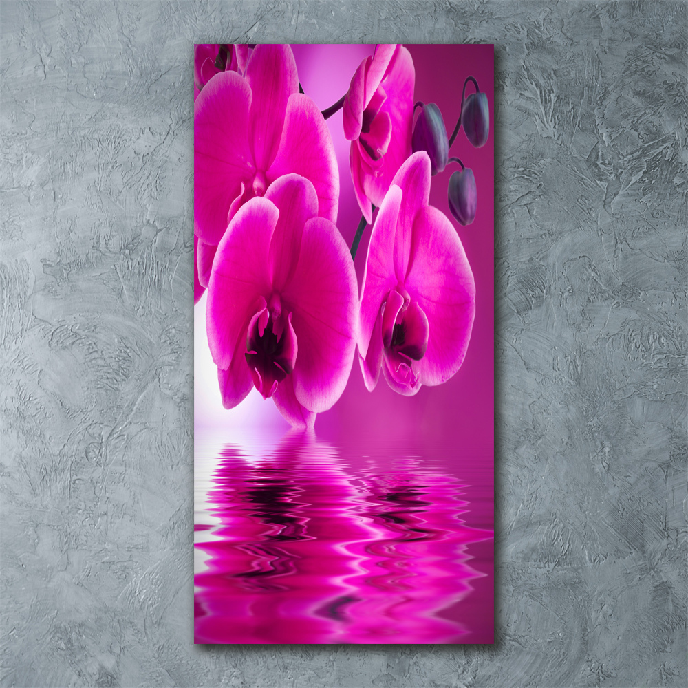 Tableau verre acrylique Orchidée rose fleur