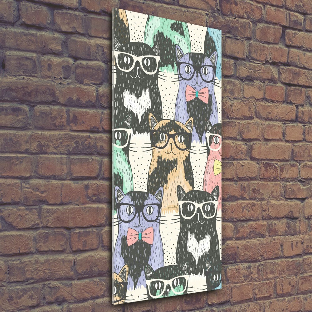 Tableau en acrylique Chats avec lunettes