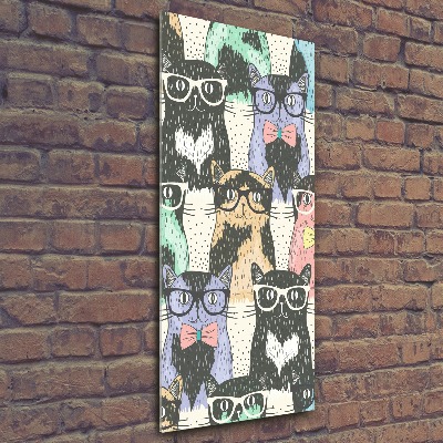 Tableau en acrylique Chats avec lunettes