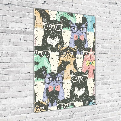 Tableau en acrylique Chats avec lunettes